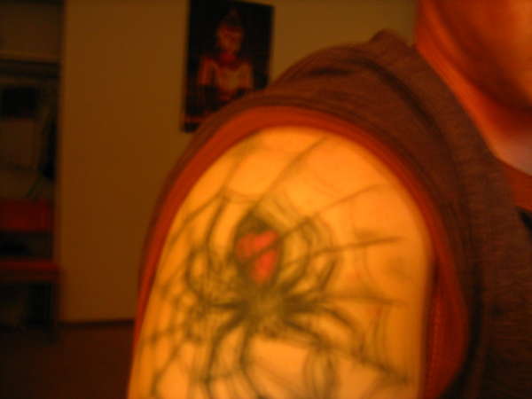 Spider web and spider tattoo
