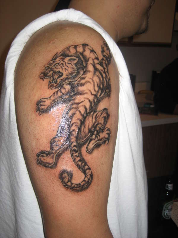 tigr tat tattoo