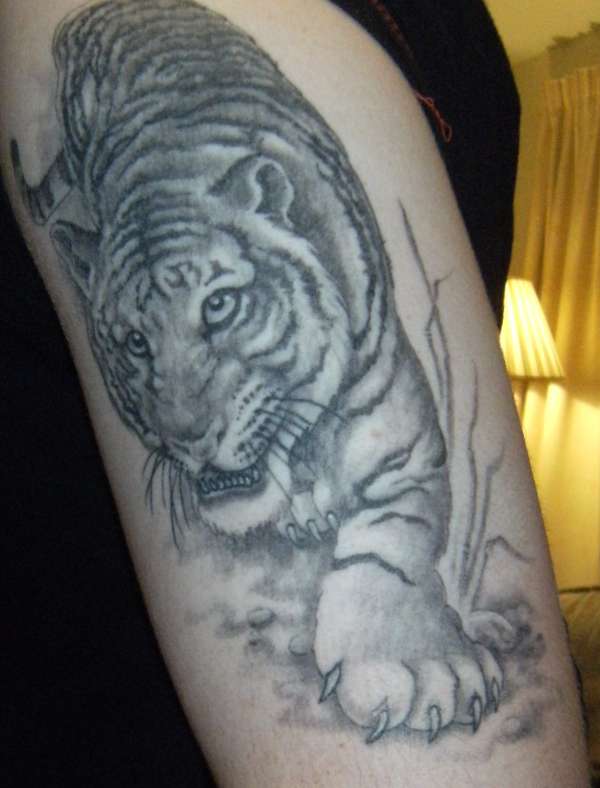 Tom's Tiger tattoo