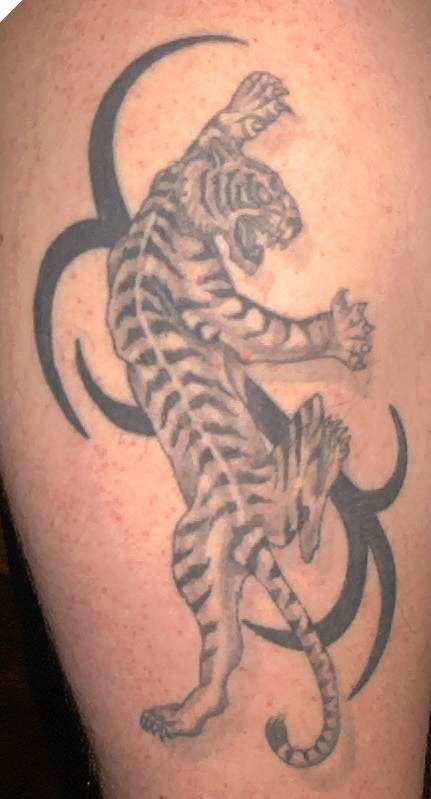 Tiger tattoo