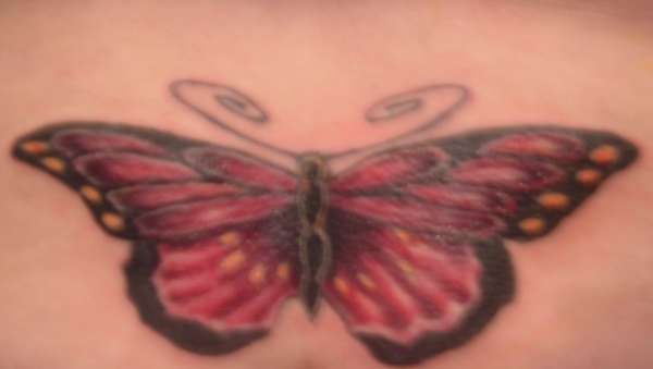 Butterfly tattoo