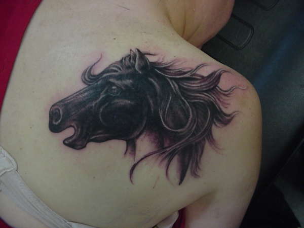 horse tattoo