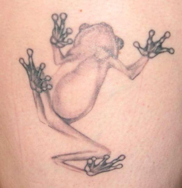 Frog Tattoo tattoo