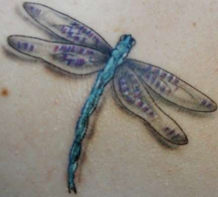 Dragonfly tattoo