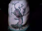 tree tattoo