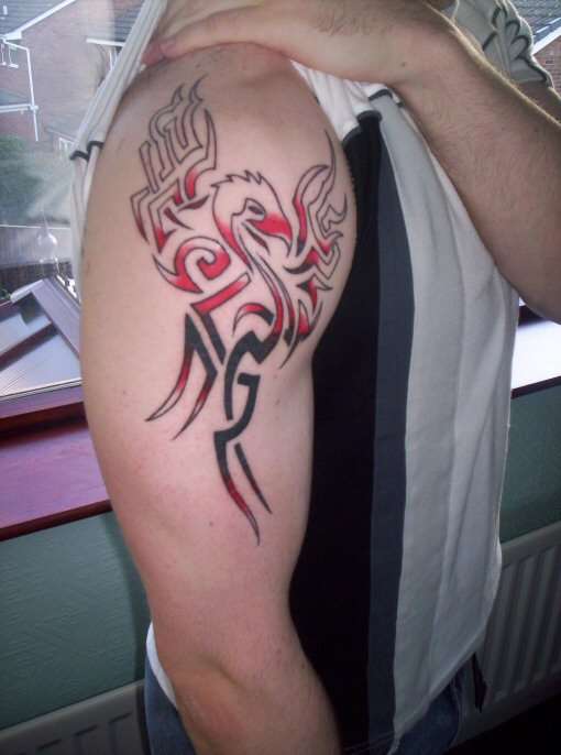 Tribal Phoenix tattoo