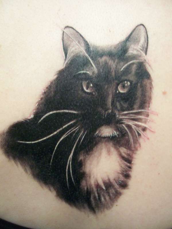 Cat Portrait tattoo