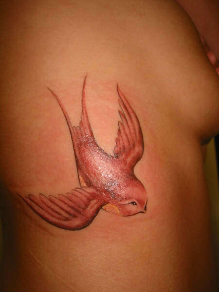 My Swallow tatt tattoo
