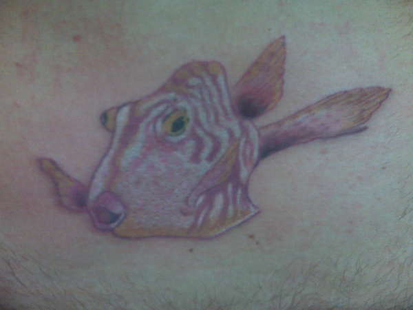 Puffer Fish\Box Fish\Cow Fish tattoo
