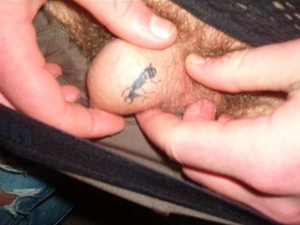 my little dick! tattoo
