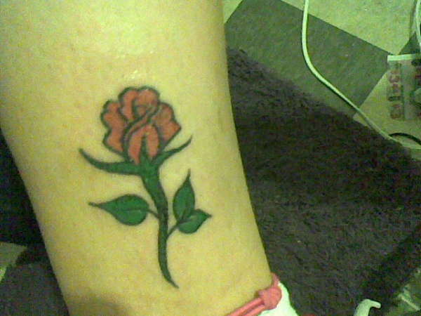 rose tattoo