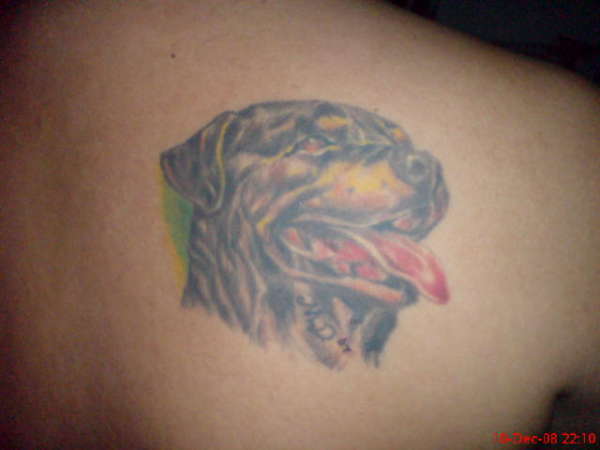 rotty kackay tattoo
