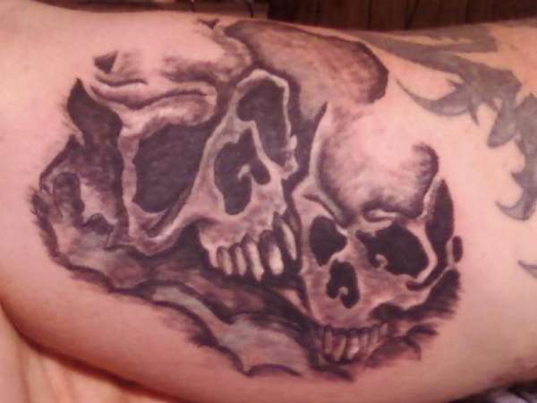 skulls tattoo