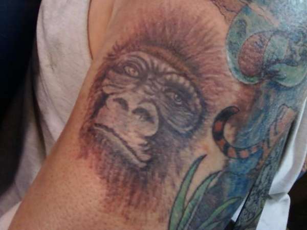 gorilla tattoo