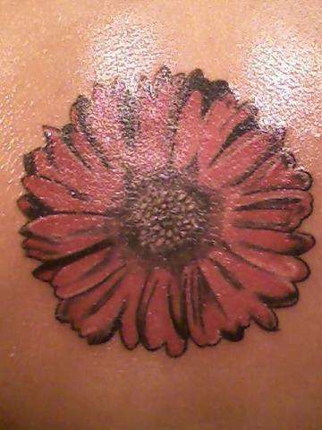 Daisy tattoo