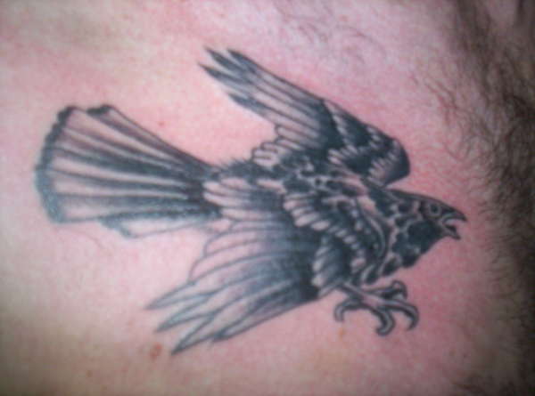 bird tattoo