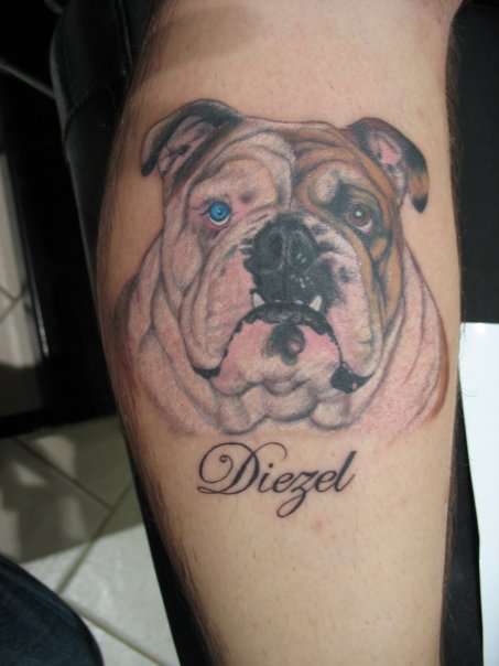 bulldog tattoo