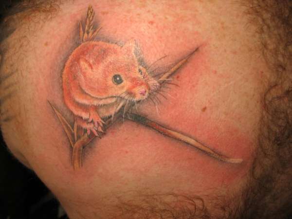 harvest mouse tattoo