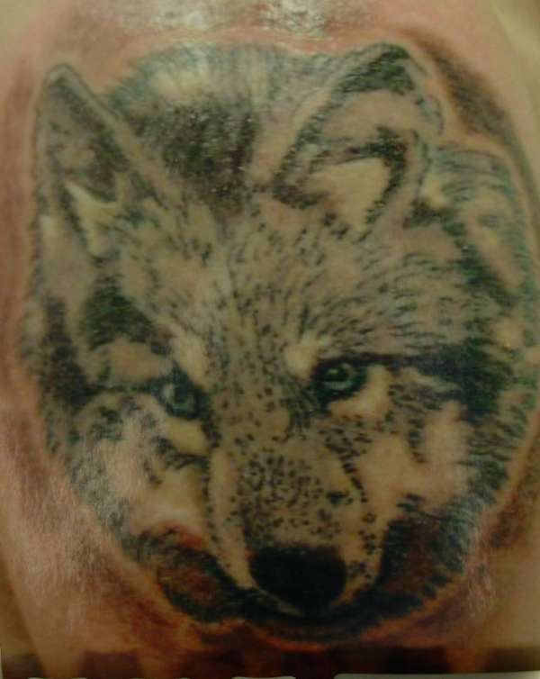 Wolf tattoo