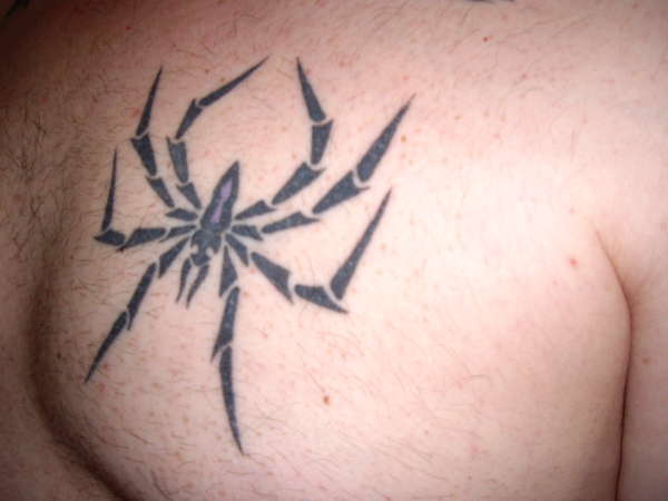 spider tattoo