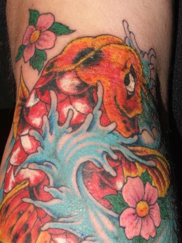 Close up of koi tattoo