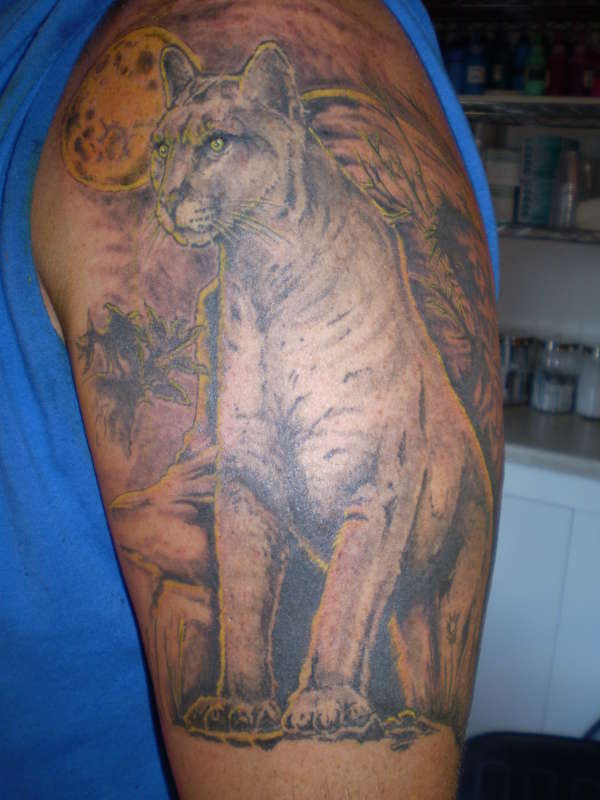 Mountain Lion tattoo