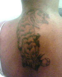 TIGER TAT tattoo