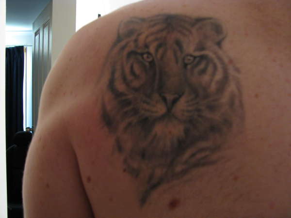 Tiger portrait tattoo