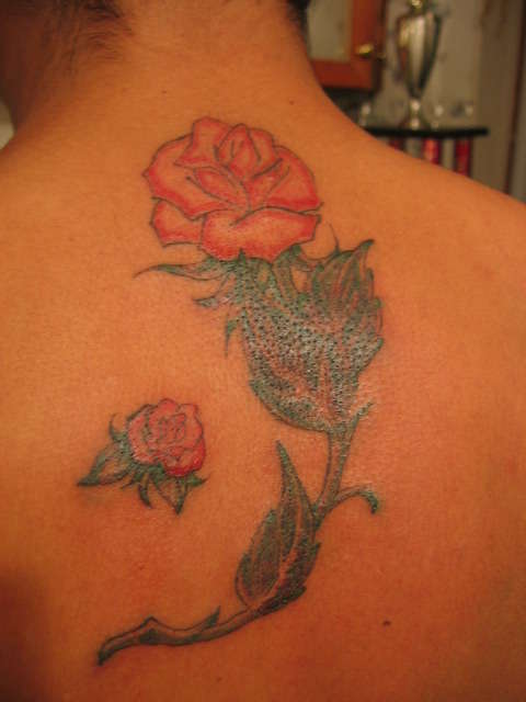 Rose tattoo