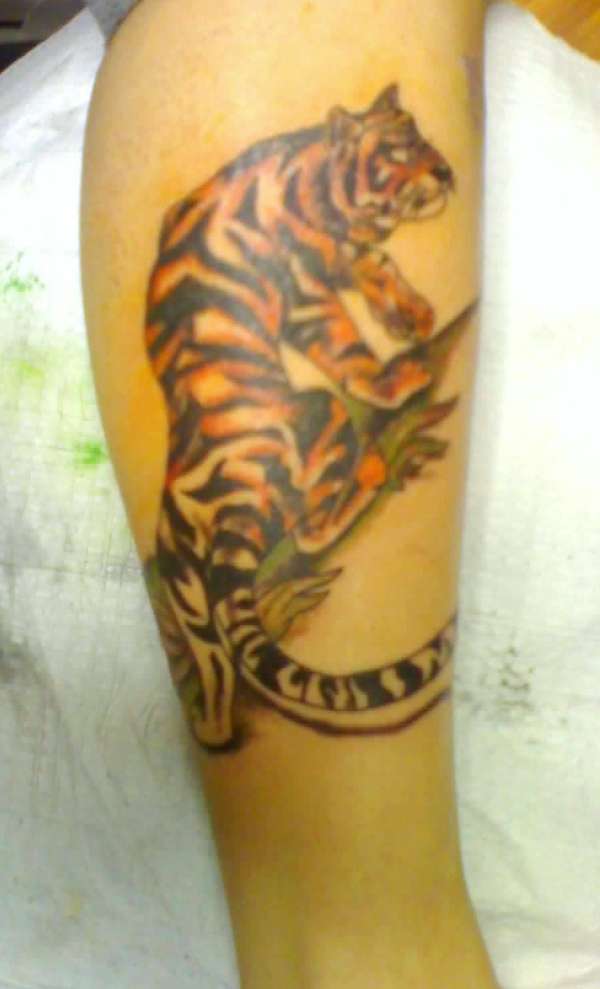 Tiger tattoo