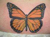 butterfly tattoo