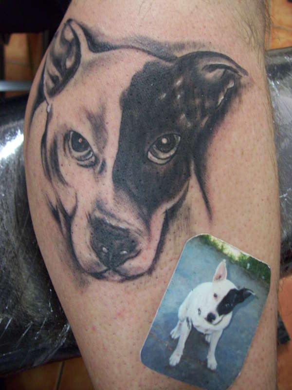 bullterrier pup portrait! tattoo
