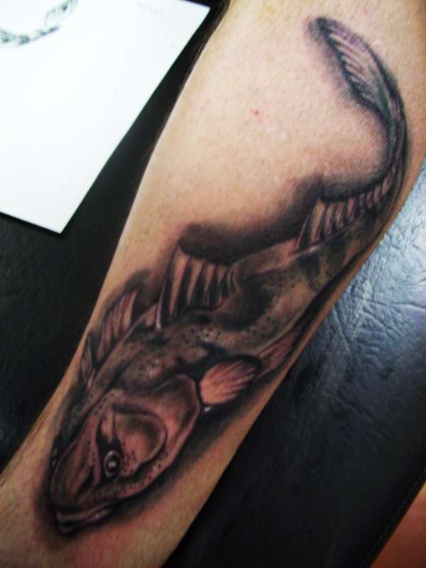 flathead fish! tattoo