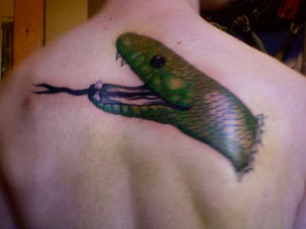 Snake Head w/ colour tattoo