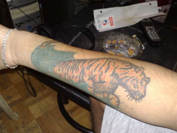 Tiger Arm tattoo