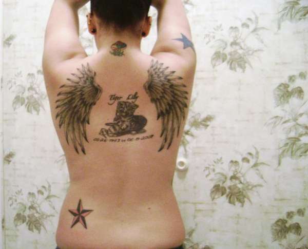 Wings, Cat tattoo
