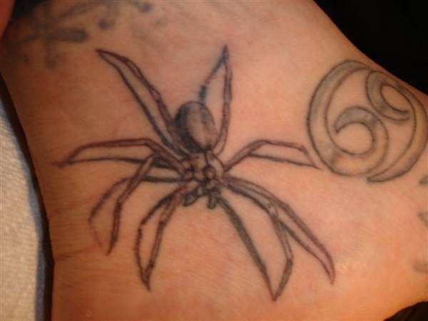 recluse spider tattoo