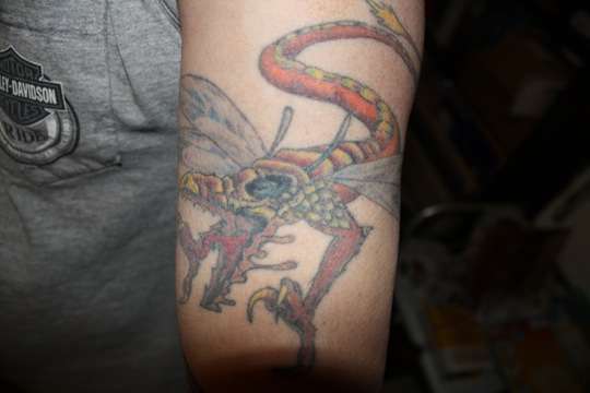 Dragonfly tattoo
