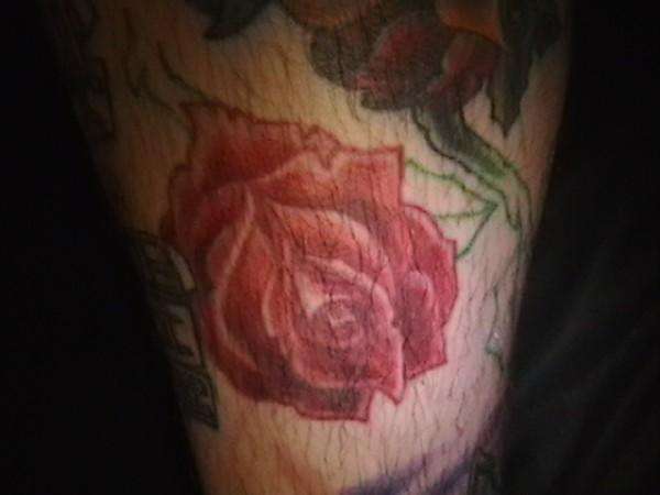 rose tattoo