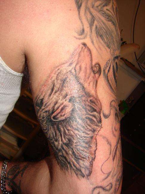 wolf tattoo