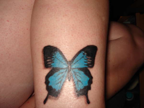 Blue butterfly tattoo