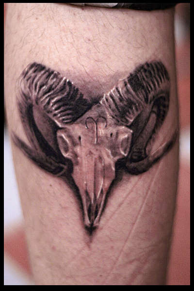 Ram skull tattoo