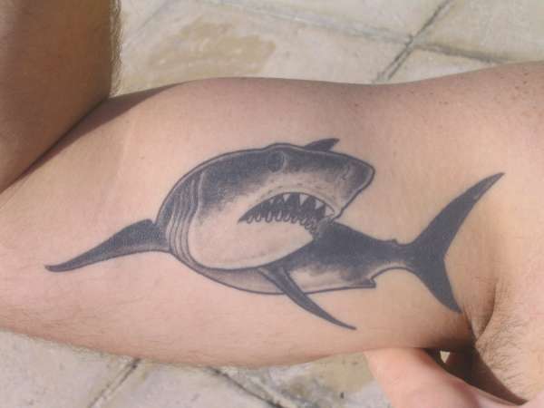 Great White tattoo