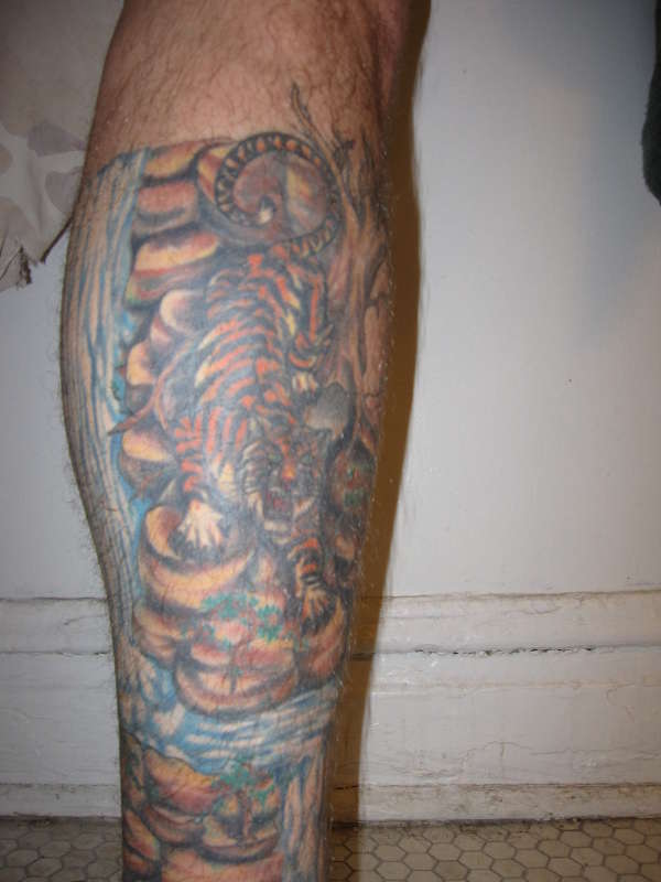 tiger calf sleeve 2/3 tattoo