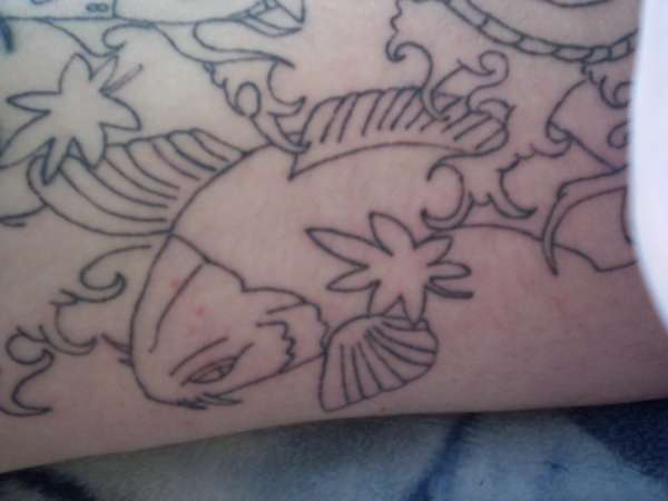 Koi outline (not finished) tattoo