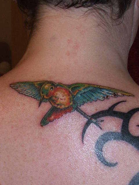 hummingbird tattoo