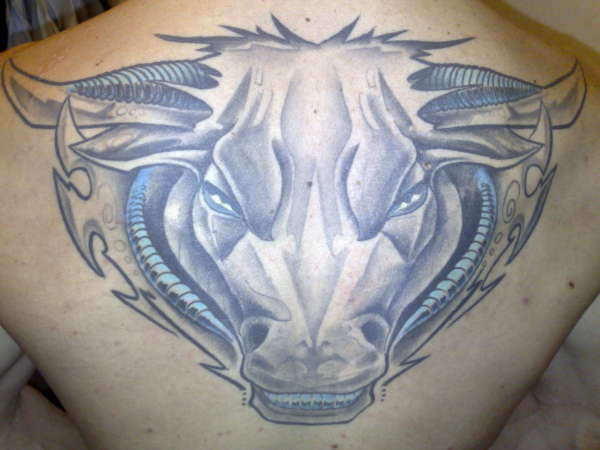 my bull tattoo