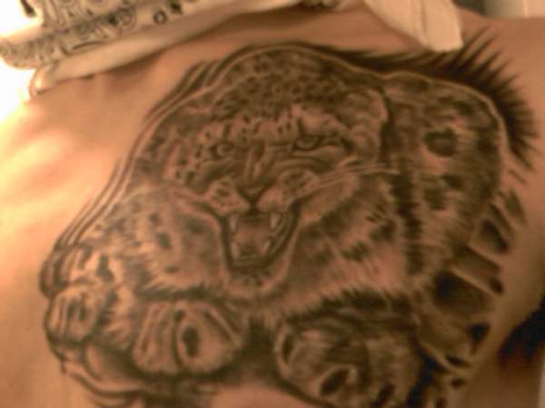 Snow Leopard (better) tattoo