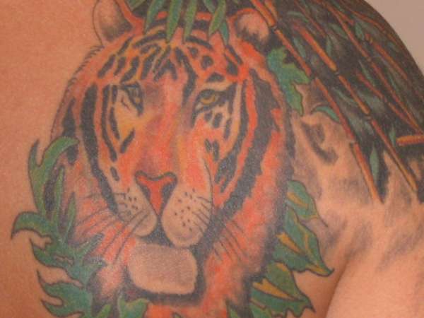 my tiger tattoo