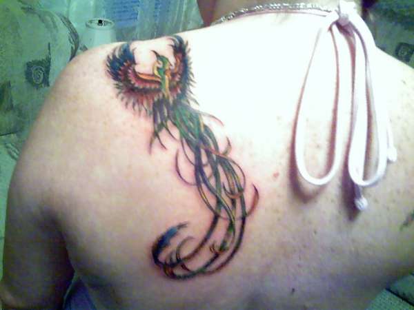 Phoenix tattoo tattoo